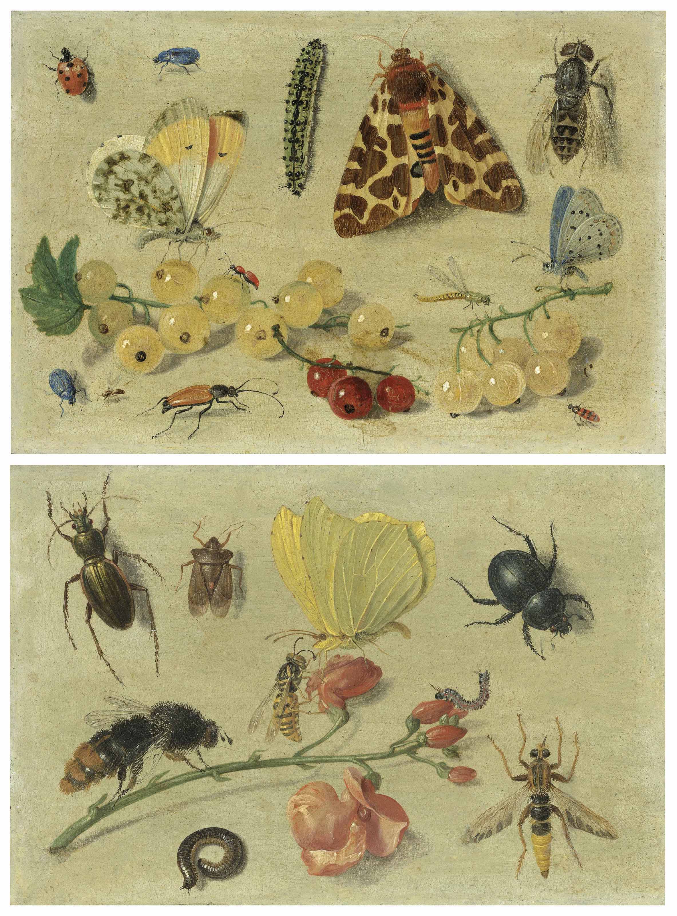 Butterflies, a garden tiger moth and other insects with currants; and Bees, a butterfly, beetles and other insects with sweet peas